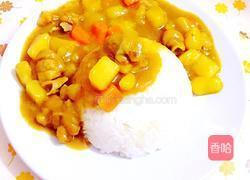 鸡肉咖喱饭的做法图解8
