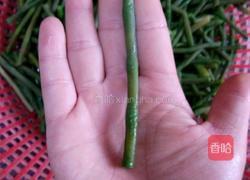 冷藏豆角的做法图解1