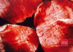 牛排的做法图解2