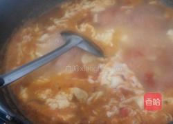 番茄鸡蛋汤的做法图解5
