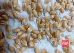 麦芽糖的做法图解2