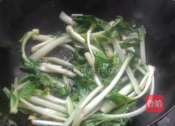 蒜蓉青菜的做法图解3