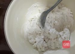 红豆冰皮月饼的做法图解6