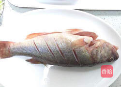 清蒸鳟鱼的做法图解2