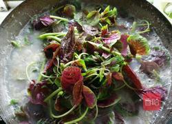 苋菜皮蛋汤的做法图解5