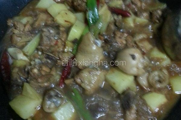 麻辣土豆炖鸡块。