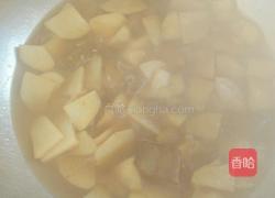 娃娃菜炖粉条的做法图解6