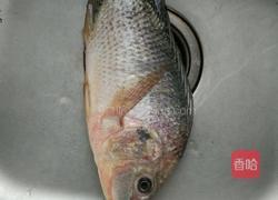 江鱼清蒸的做法图解1