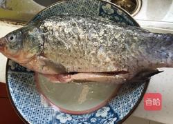 鲫鱼豆腐汤的做法图解8