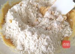 花生酱曲奇的做法图解5