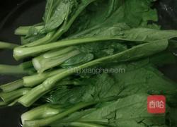 菜心粉丝的做法图解7