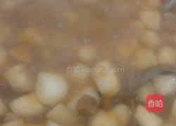  萝卜炖肉的做法图解9