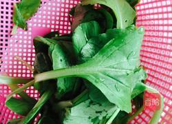 冬瓜虾皮紫菜汤的做法图解2