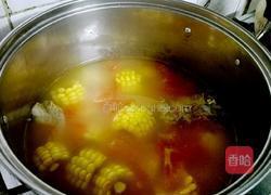 蕃茄玉米排骨汤的做法图解7