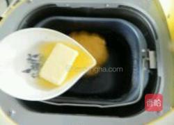 葡萄干胡萝卜面包卷的做法图解2