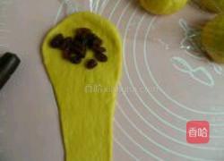 葡萄干胡萝卜面包卷的做法图解10