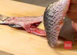 红烧鱼块的做法图解3