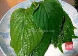 苏子叶咸菜的做法图解1