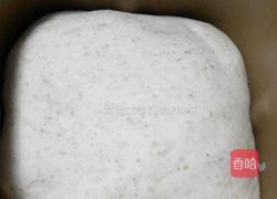 全麦馒头的做法图解4
