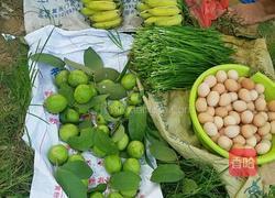 韭菜肉饺的做法图解1