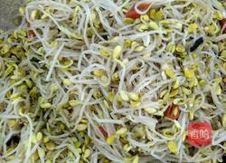 豆芽肉片汤的做法图解3