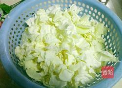 手撕圆椰菜的做法图解2