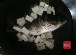 宝宝的鲫鱼烫的做法图解4