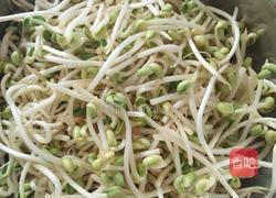 豆芽炒粉的做法图解1