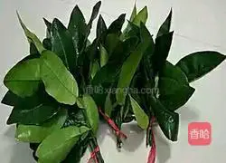 Illustration of how to make Yeerba 1