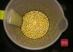 新鲜黄豆浆的做法图解1
