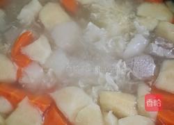 雪梨雪耳苹果汤的做法图解6