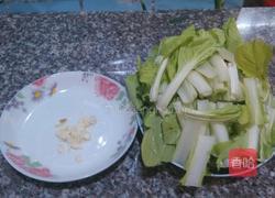 素炒小白菜的做法图解1