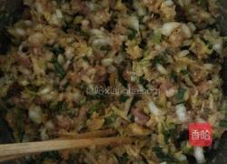 猪肉白菜包的做法图解1