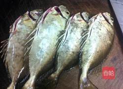 清蒸泥猛鱼的做法图解1