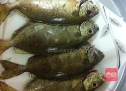 清蒸泥猛鱼的做法图解4