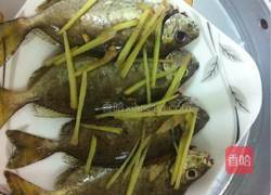 清蒸泥猛鱼的做法图解5