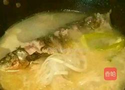 鲫鱼萝卜丝汤的做法图解6