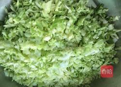 包菜猪肉饺的做法图解1