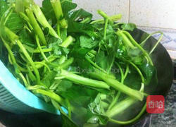 白灼空心菜的做法图解5