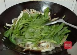 杂蔬丸子末的做法图解6