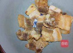 酸白菜炒肉的做法图解4