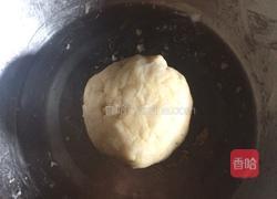 酥肉饼 (苏式鲜肉月饼)的做法图解3