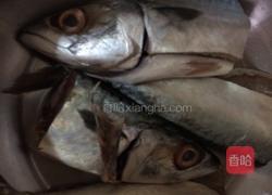 豆酱煮鱼的做法图解1