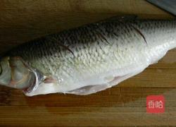 清炖鲤鱼的做法图解1