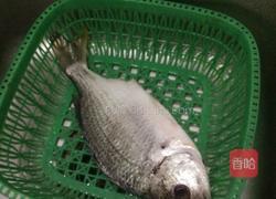 清蒸黄刺鱼的做法图解1