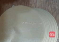 韭菜猪肉饺的做法图解4