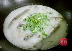 鲫鱼汤的做法图解6