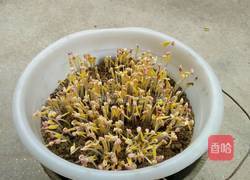 凉拌西芹绿豆芽的做法图解1