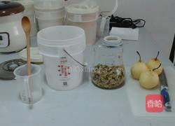 菊花雪梨酵素的做法图解1