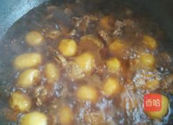 小土豆烧牛肉的做法图解5